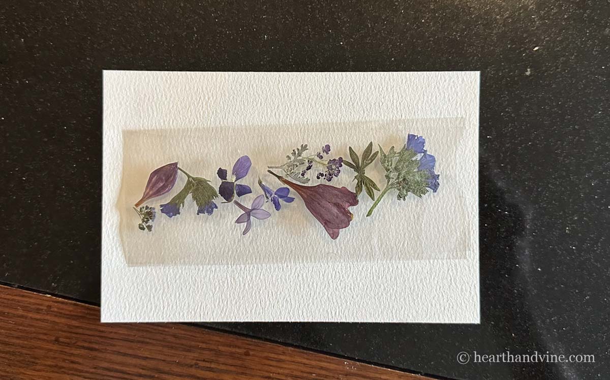 Pressed flower on laminating sheets.