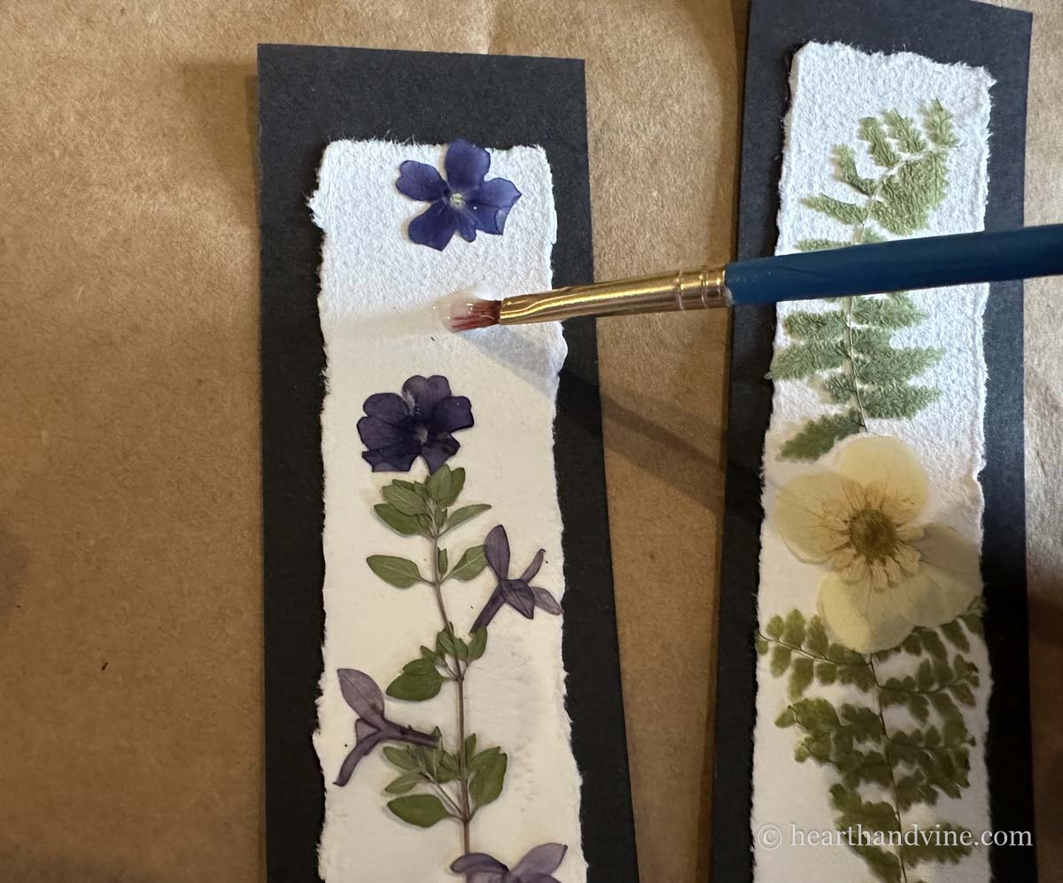 A paintbrush with mod podge glue placing spots to glue flowers on the white paper.