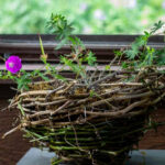 Small planter made from grapevines with a pink geranium plant inside.