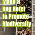 Wooden crate with pinecones, sticks and other outdoor waste to create a bug house/hotel.