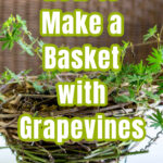 A small grapevine basket with a hardy geranium inside with text overlay.