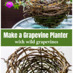 A grapevine basket with a geranium plant over an empty grapevine basket.