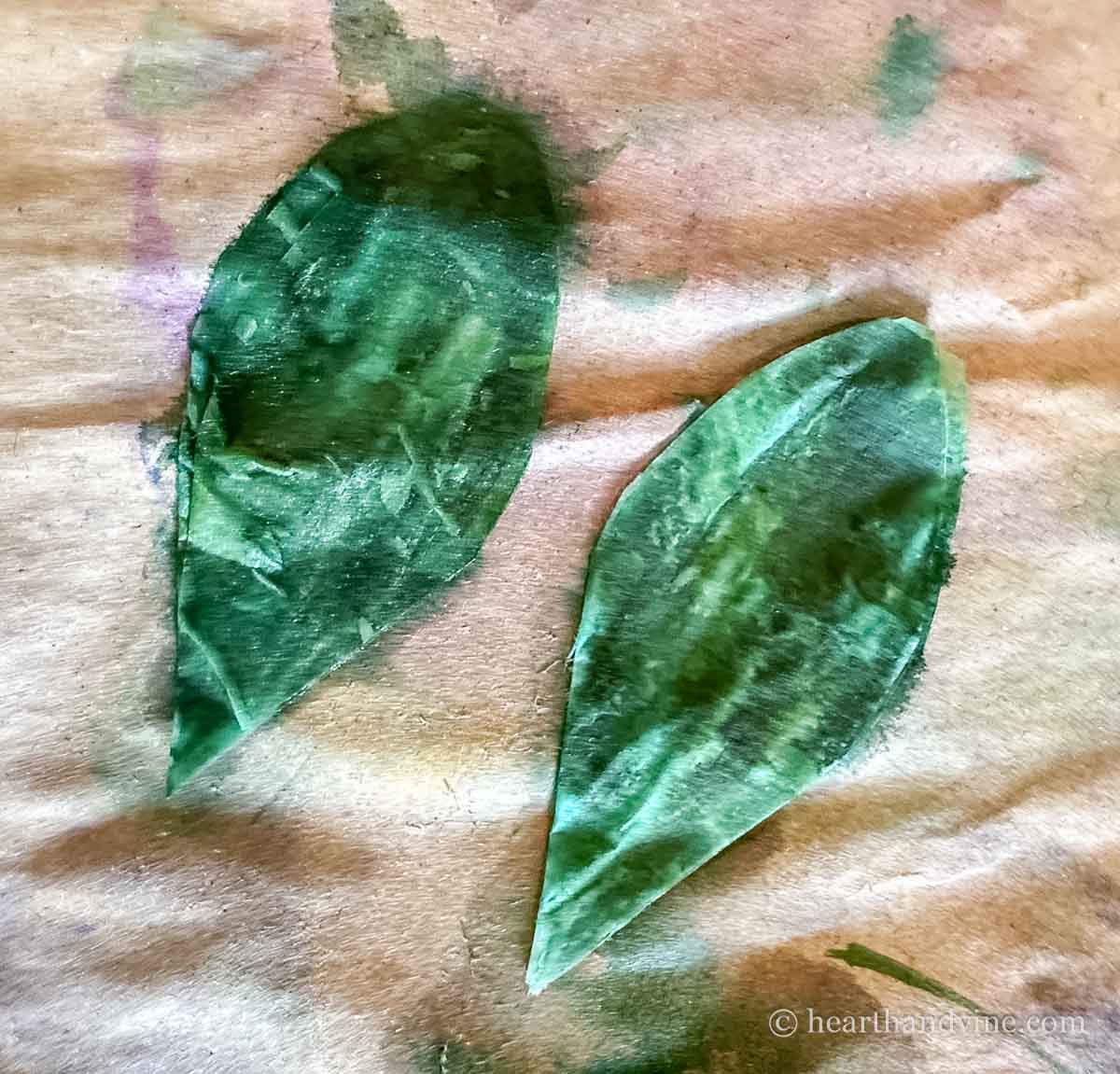 Green coffee filter leaves.
