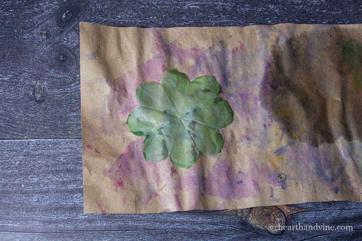 Green smaller coffee filter flower drying.