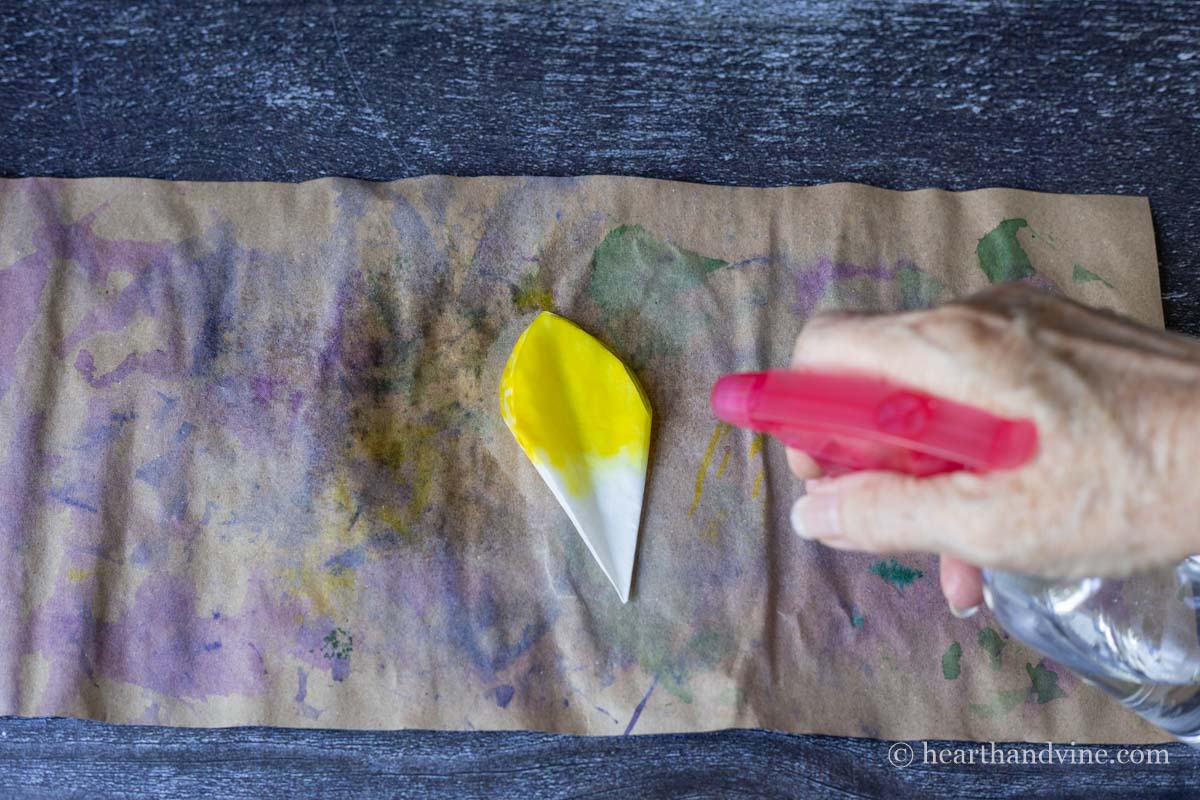 Spraying water on yellow coffee filter.