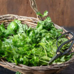 A basket of fresh cut herbs.