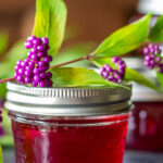 A small mason jar of beautyberry jelly with a branch of fresh beautyberries on top.