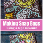 Two colorful snap bags with brushes poking out over the same bags empty.