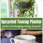 String of pearls in a white with roses hanging teacup over the same teacup empty on its saucer.