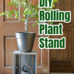 Lemon tree on top of a rolling plant stand in a doorway.