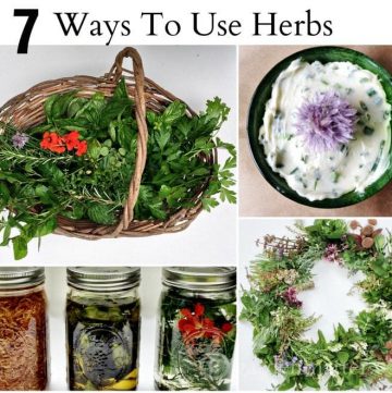 Learn about the many ways to use herbs from your garden from cooking to decor to beauty.