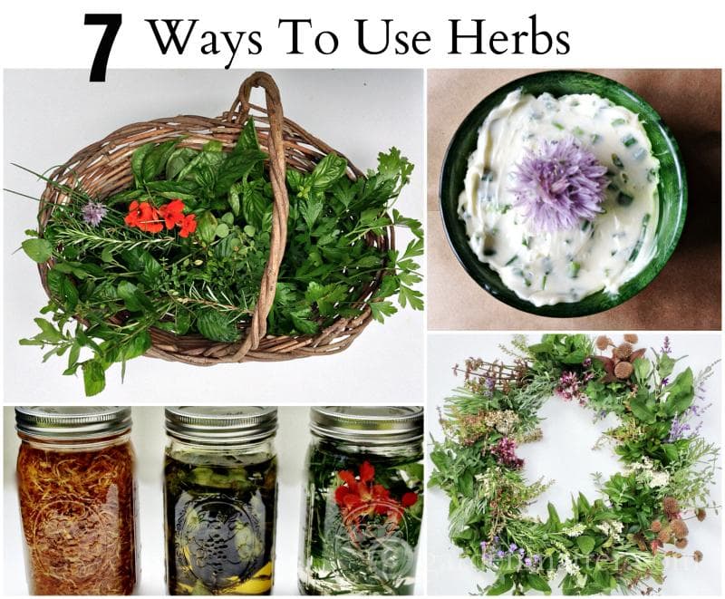 Learn about the many ways to use herbs from your garden from cooking to decor to beauty.