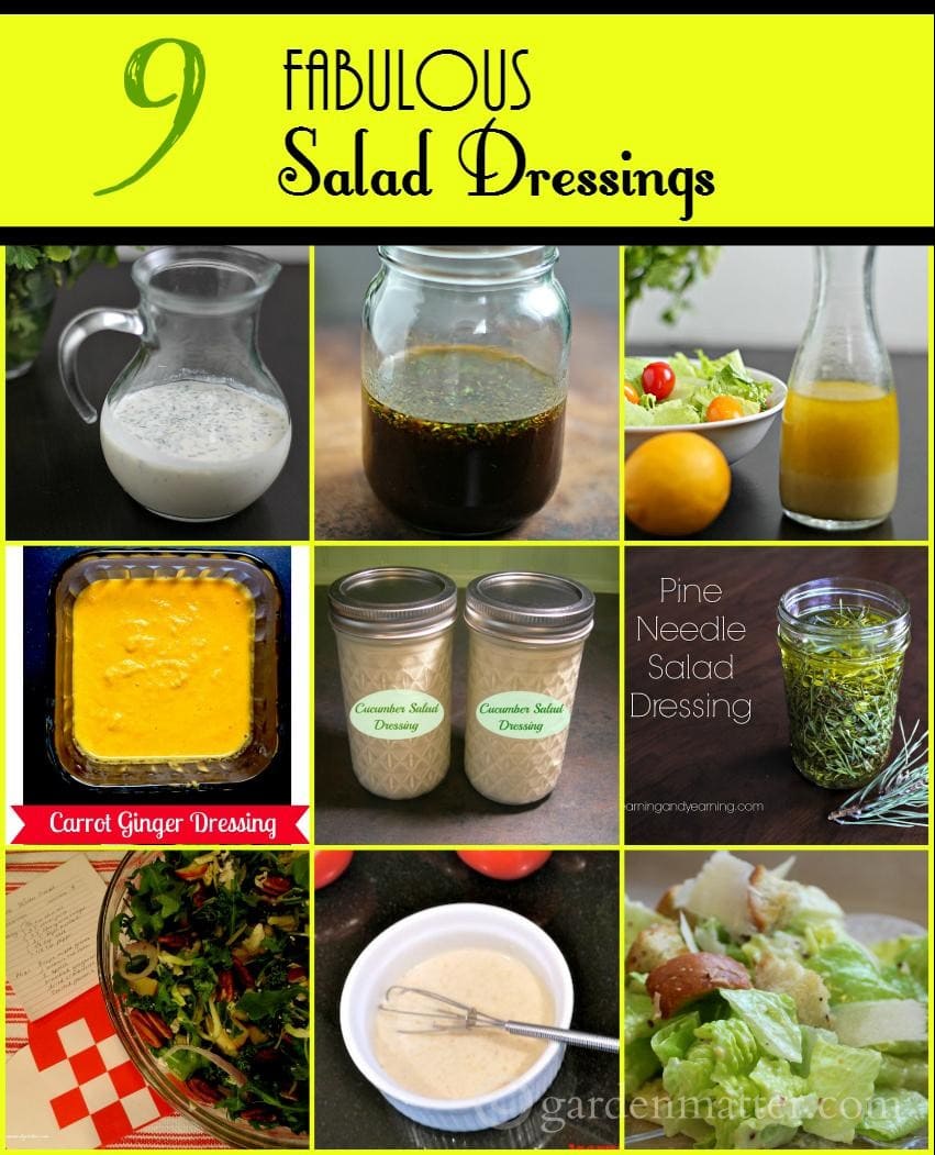 Nine Fabulous Salad Dressing Recipes Hearth & Vine
