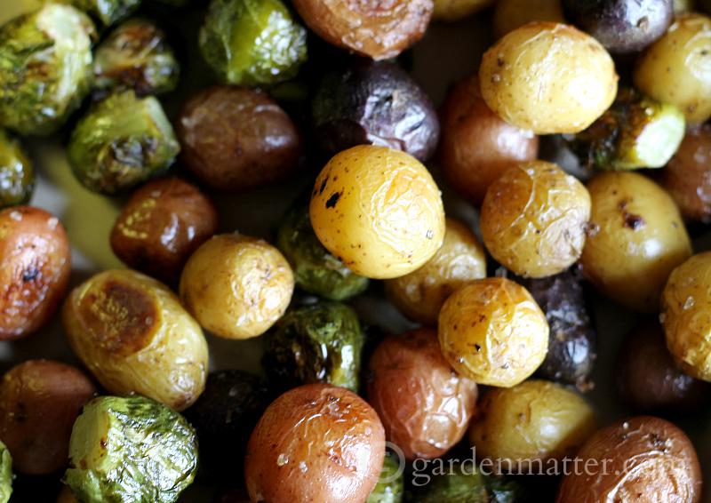 Roasted Brussel Sprouts with Baby Potatoes & Blue Cheese Dip