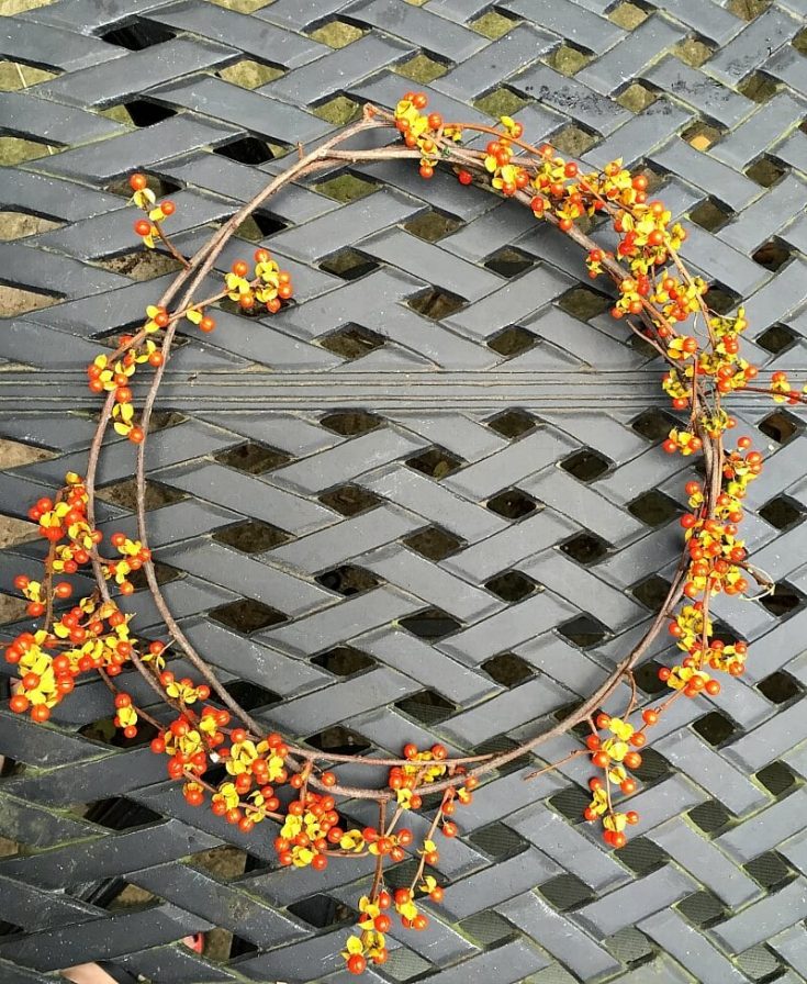 DIY Autumn Wreath Faux Bittersweet and Grapevines Hearth and Vine