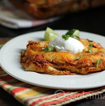 This recipe for easy chicken enchiladas makes great leftovers and freezes well too.