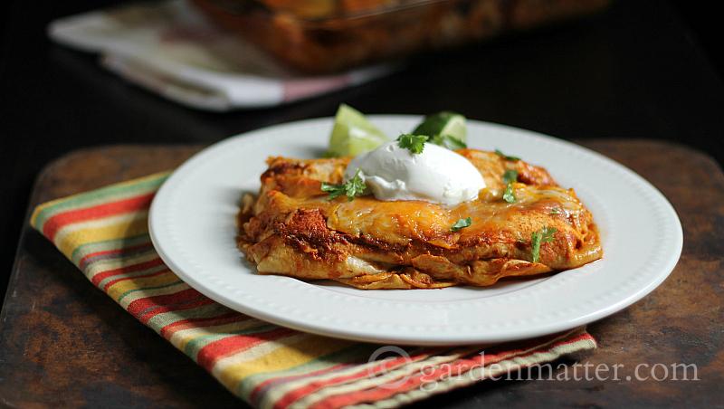 This recipe for easy chicken enchiladas makes great leftovers and freezes well too.