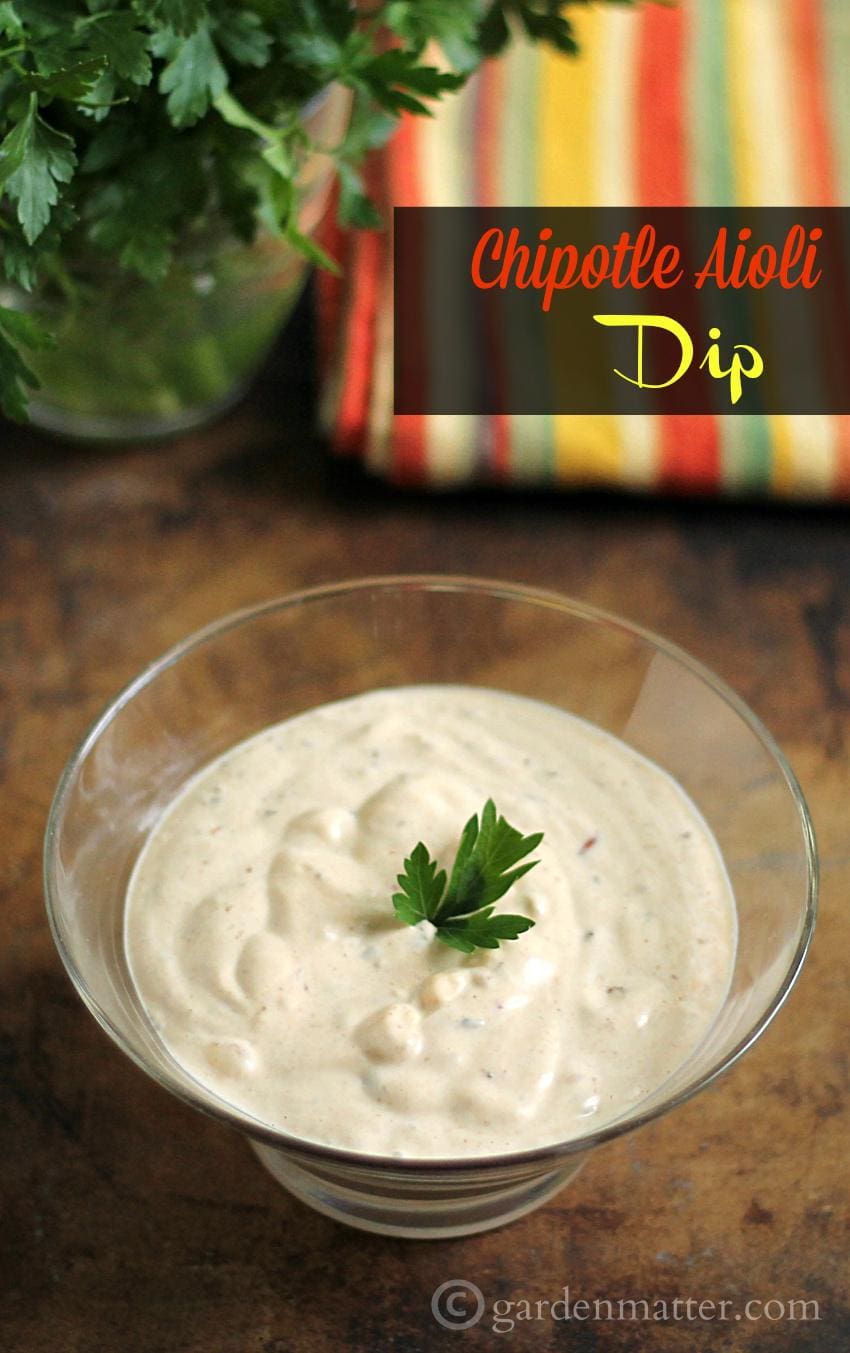 Chipotle Aioli Dip Recipe - It Just May Be Your Next Obsession