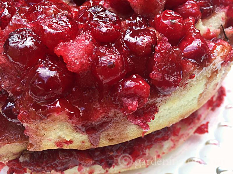 Learn how to make an easy double layered cranberry upside down cake that will look and taste great during this holiday season.