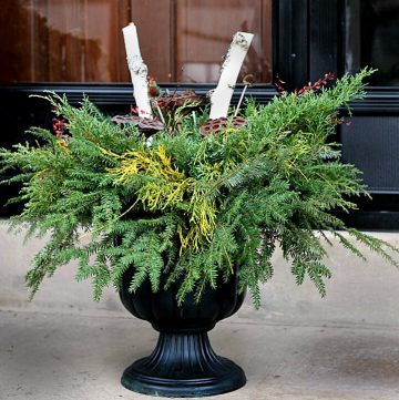 This DIY Holiday Planter tutorial can be put together in a very short time and costs next to nothing to make.