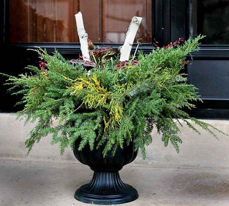 make-your-own-outdoor-holiday-planter-for-next-to-nothing