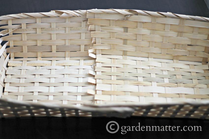 Dish Garden Basket Combined ~gardenmatter.com