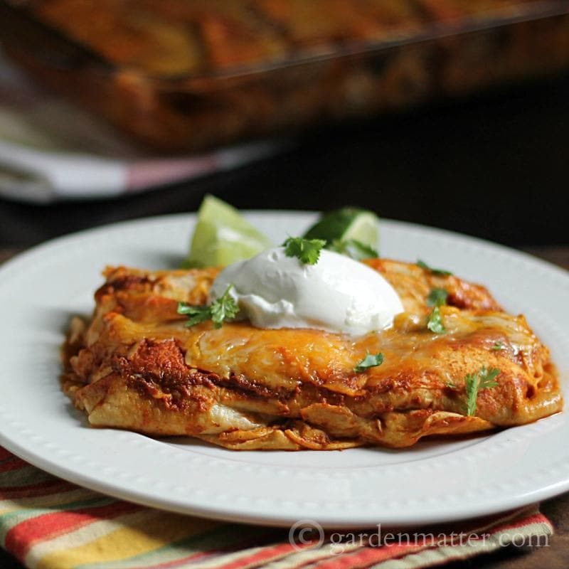 Chicken Black Bean Casserole A Family Favorite