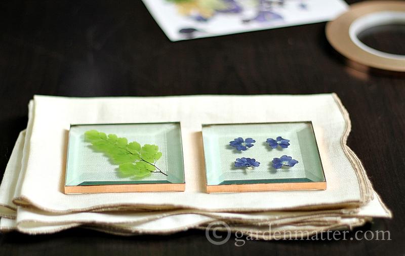 Pressed flower glass coasters using square glass and copper tape flowers from you own backyard in no time and not a lot of money.