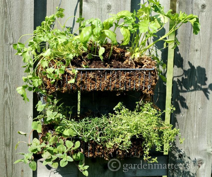 Learn how to make a simple and very affordable hanging herb garden that you can enjoy all season long.