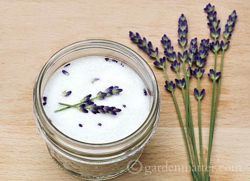 Lavender sugars for cooking or drinks.