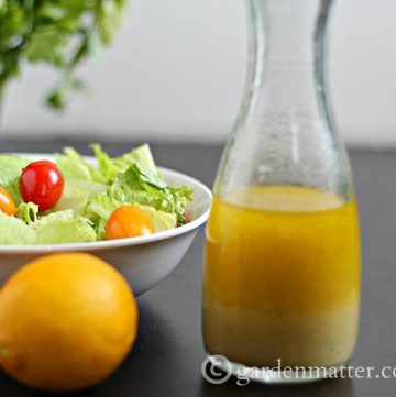 Meyer Lemon Vinaigrette ~gardenmatter.com