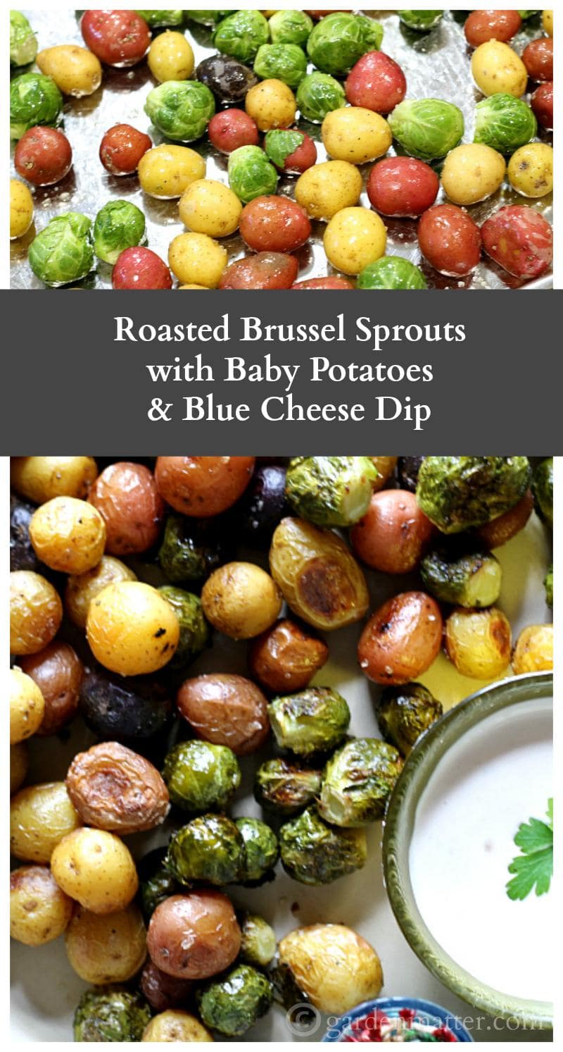 Here's a simple appetizer you can make that's sure to please everyone. Roasted brussel sprouts with baby potatoes served with a creamy blue cheese dip.