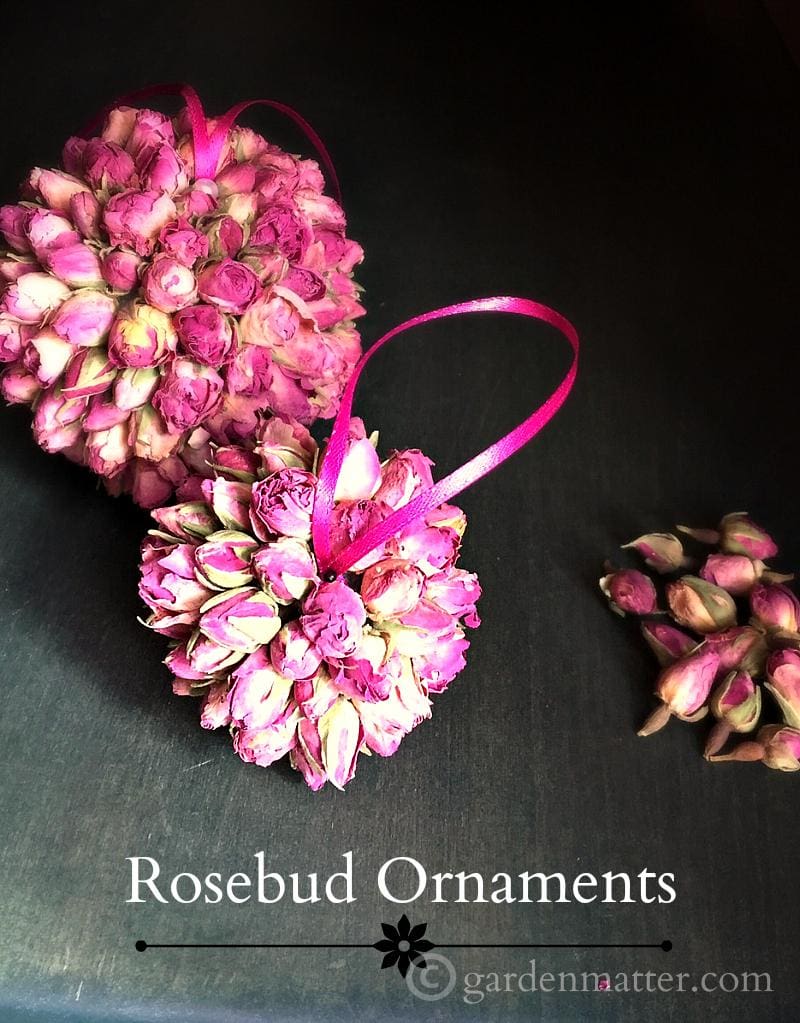 Learn how to make rosebud ornaments to hang on your Christmas tree. They are easy to make and add a nice scent to the room.