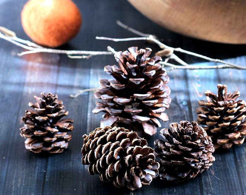 Waxed scented pine cones on a table near some twigs and an orange felt ball.
