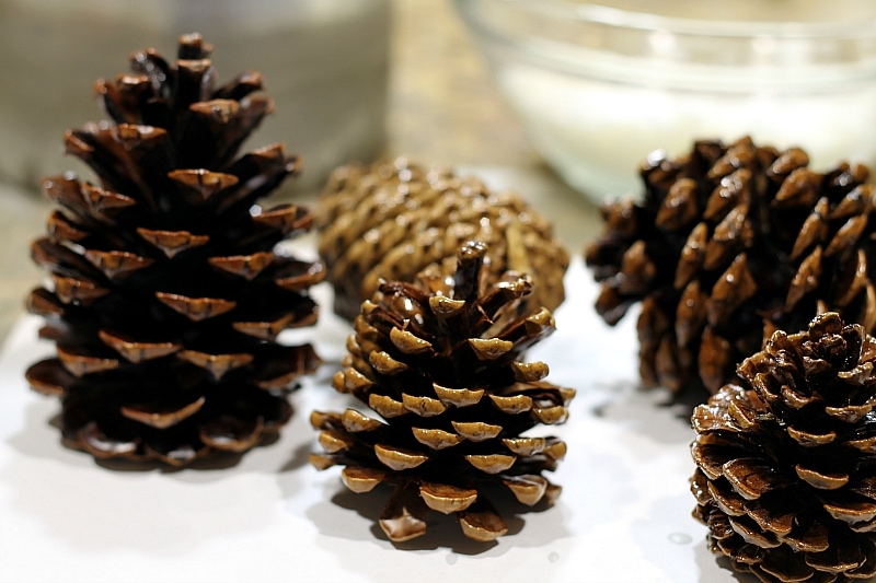 Scented wax pine cones set to dry