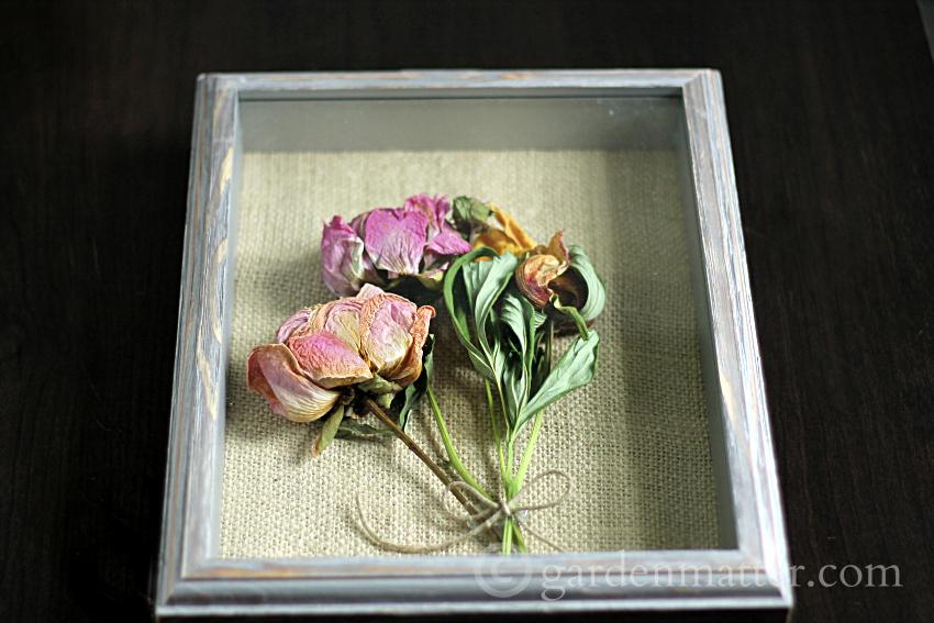 This fun and simple craft can be easily made with any dried flower. Here we created one with shadow box peonies and a burlap backing.