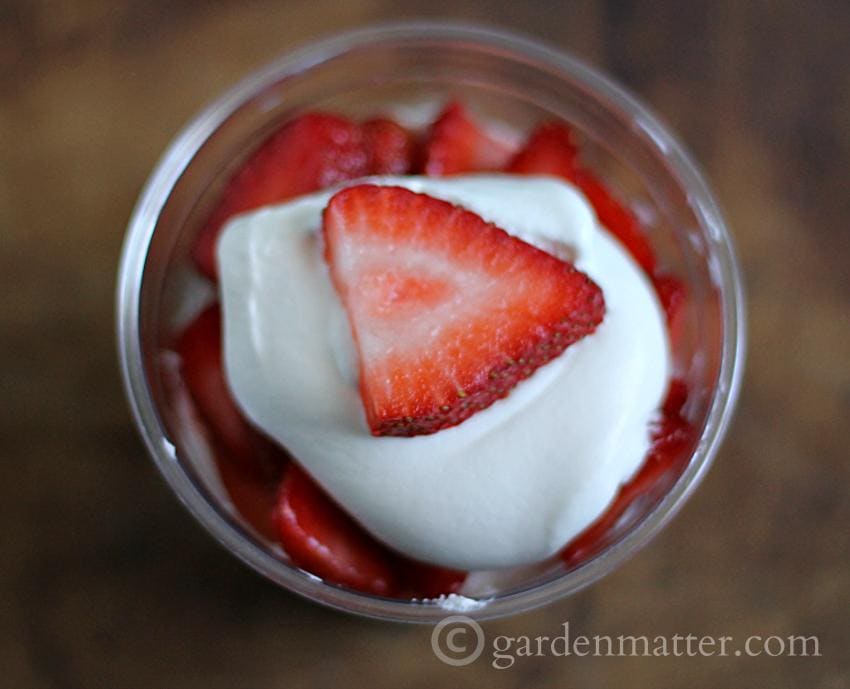 This recipe combines fresh strawberries, a creamy cheese and a pretzel crust in layers to make a fancy one serving treat for your friends and family. 