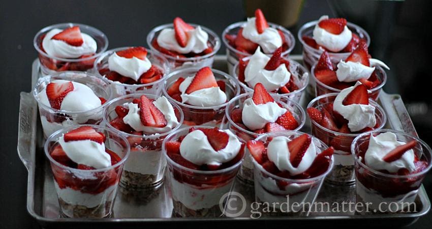 This recipe combines fresh strawberries, a creamy cheese and a pretzel crust in layers to make a fancy one serving treat for your friends and family. 