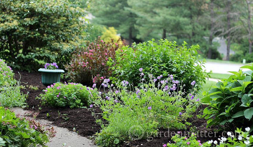 View from front porch ~ gardenmatter.com