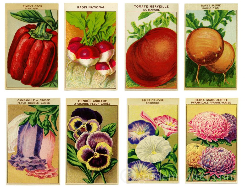Enjoy making many paper crafts with vintage seed packets and catalog printables.