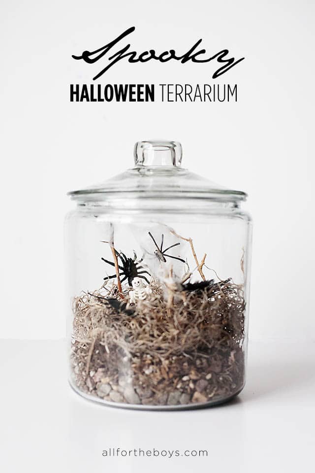 all-for-the-boys-halloween-terrarium