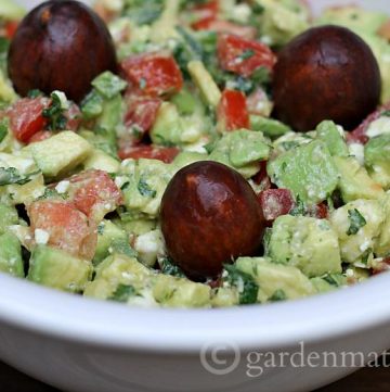 Here's a recipe for guacamole that is "dressed-up" with feta cheese and hot peppers. Great for a party or a Mexican themed dinner.