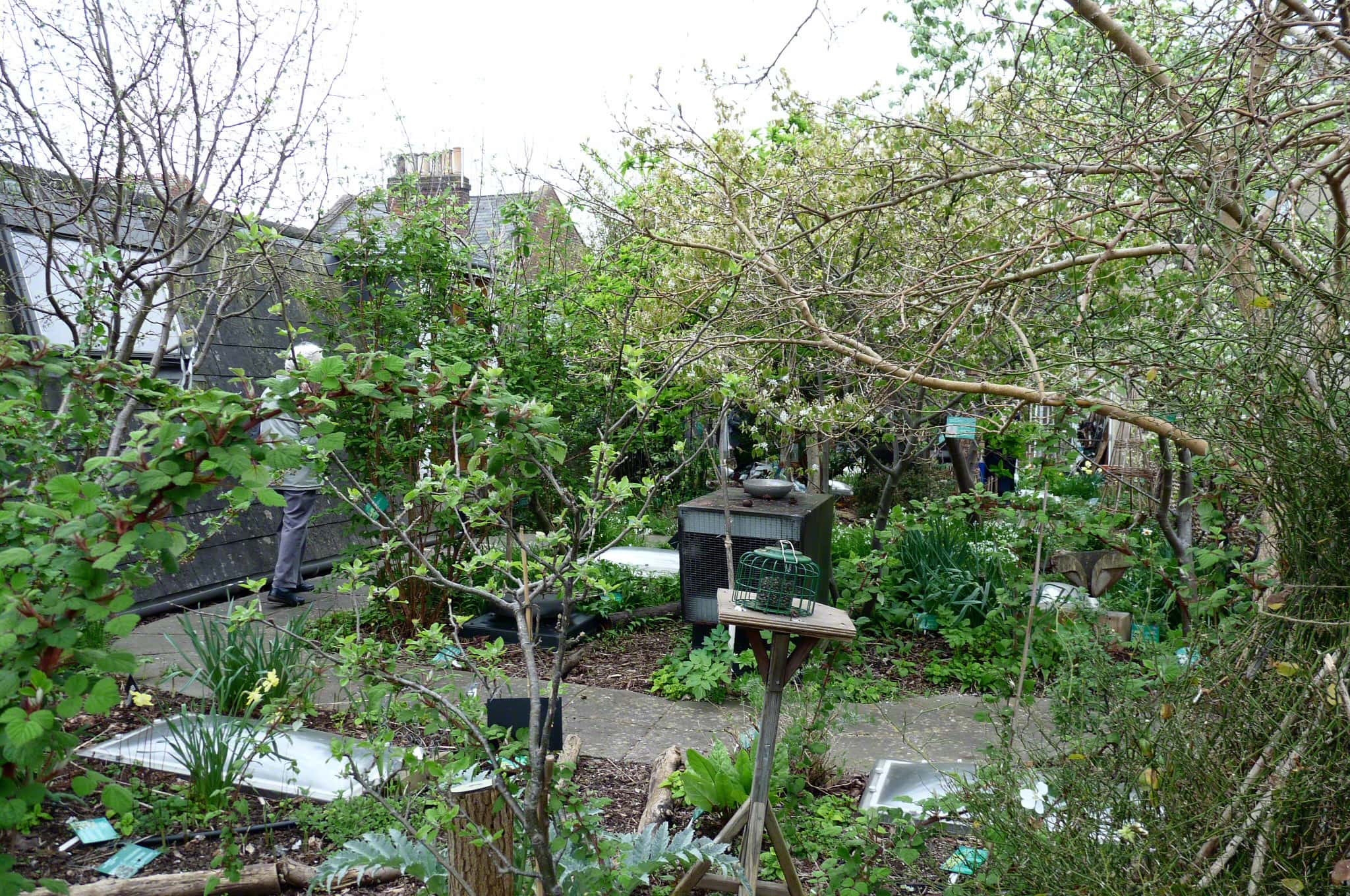 Forest roof garden on top of RISC