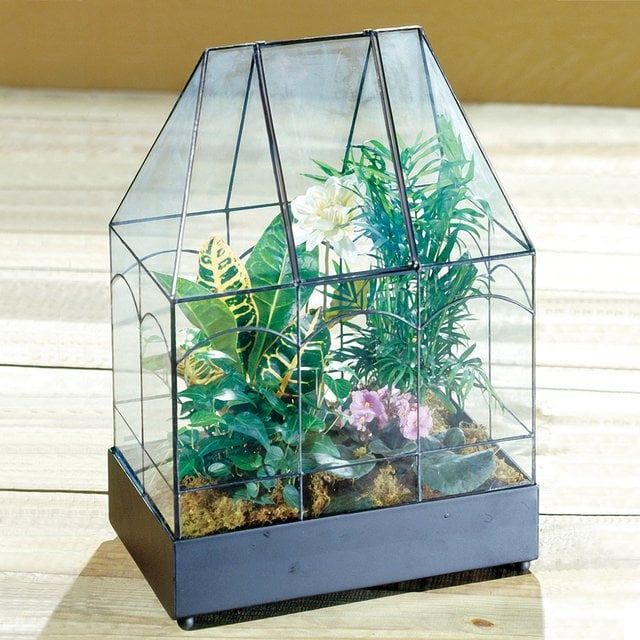 Bringing the Outdoors In, with a Wardian Case